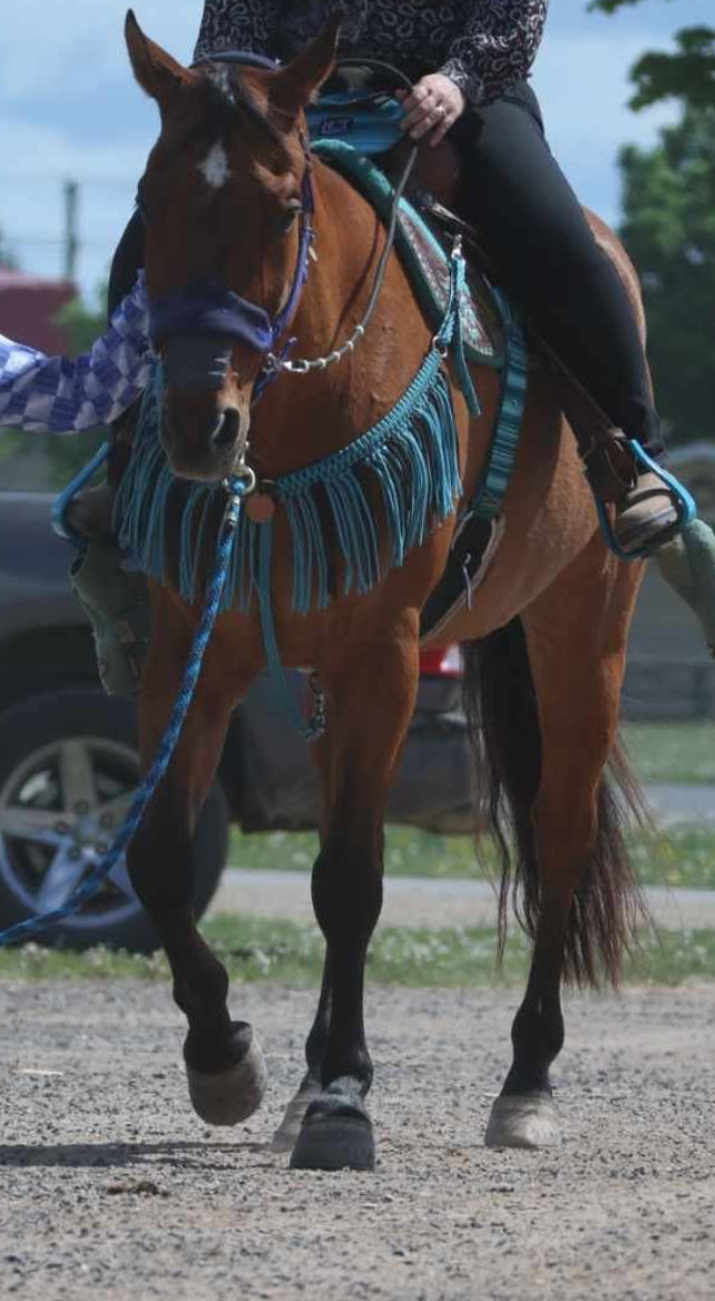 Neon turquoise and black fringe breast collar with a wither strap - Tiffanys Braided Tack LLC