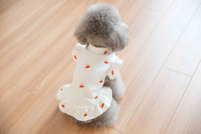 Nipsey Dog Crown Dress