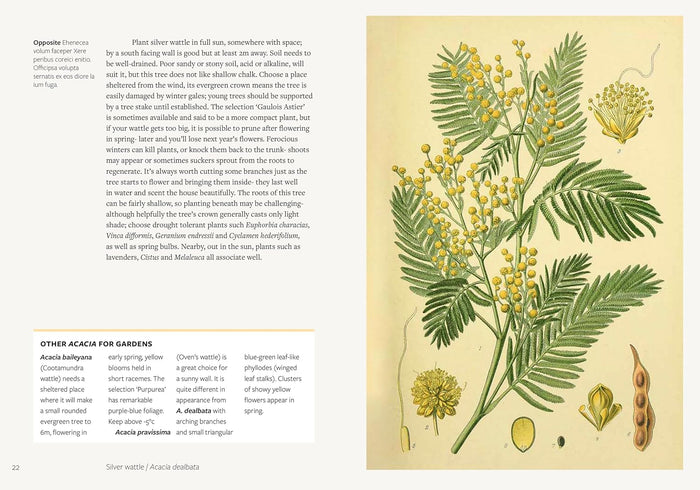 Parched: 50 Plants that Survive and Thrive in a Dry Garden