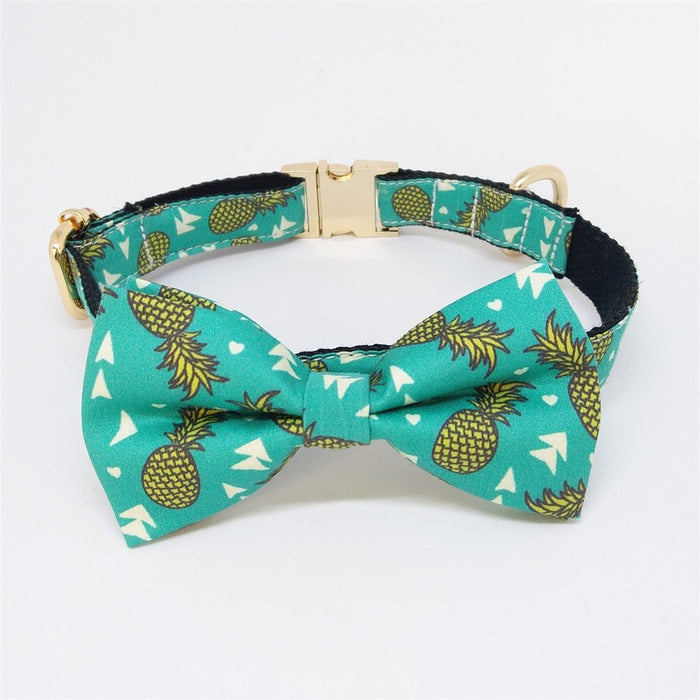 Pineapple Collar and Leash