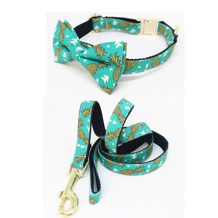 Pineapple Collar and Leash