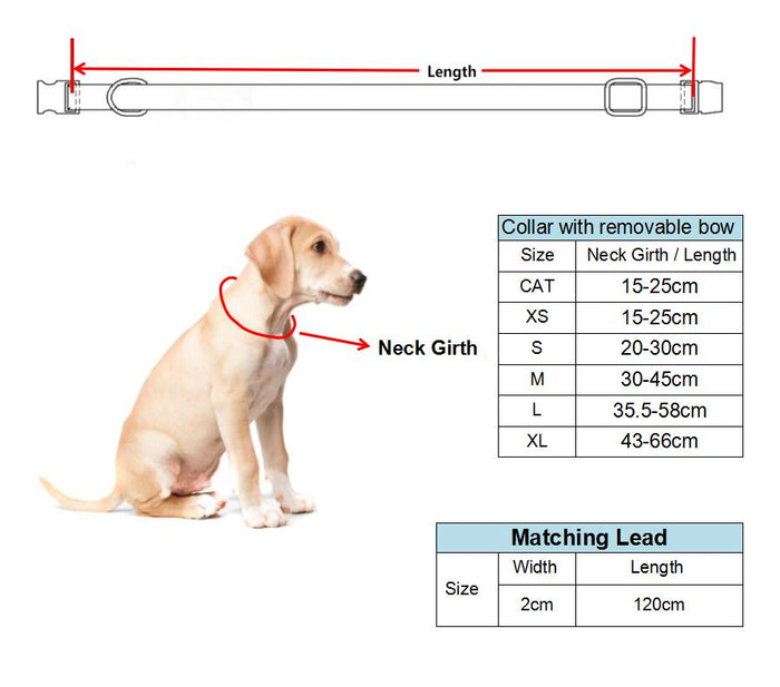 Pineapple Collar and Leash