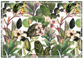 Placemat, Botanical, Set of 4