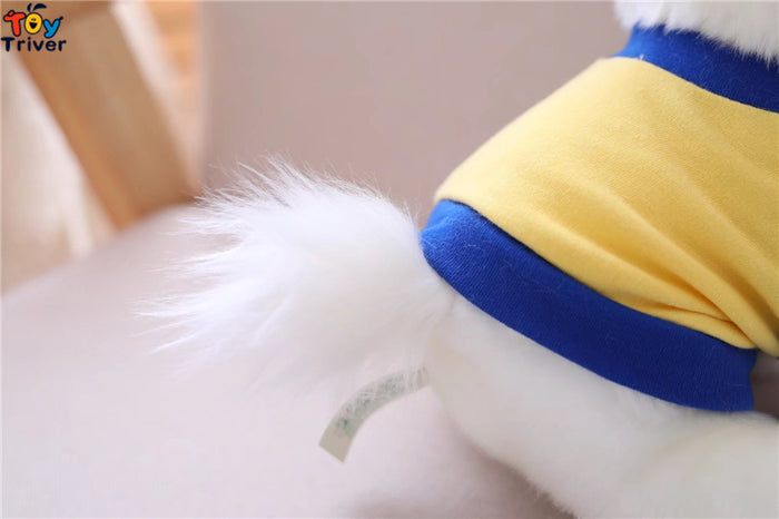 Pomeranian Toy