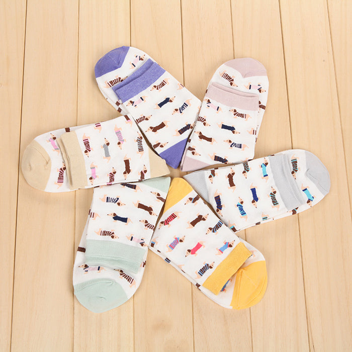 Rainbow Dachsund Socks