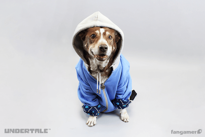 Sans Hoodie