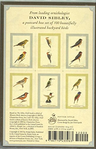 Sibley Backyard Birding Postcards