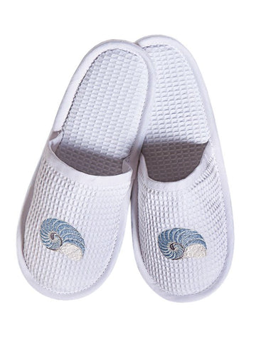 S / Striped Nautilus (Duck Egg Blue)