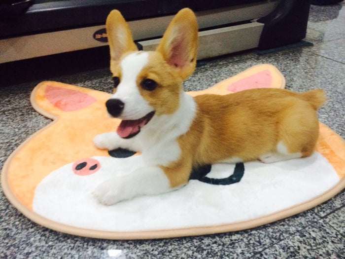 Smiley Corgi Mat
