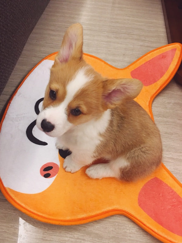 Smiley Corgi Mat