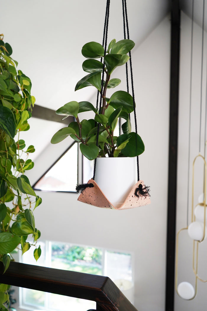 Natural speckled leather hanging planter by Keyaiira displayed with cascading green plant in bright natural light. Handcrafted leather cradle adds organic warmth to modern home decor.