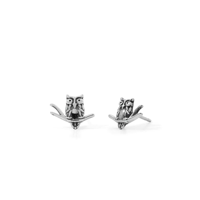 SS Wise Owl on a Branch Stud Earrings