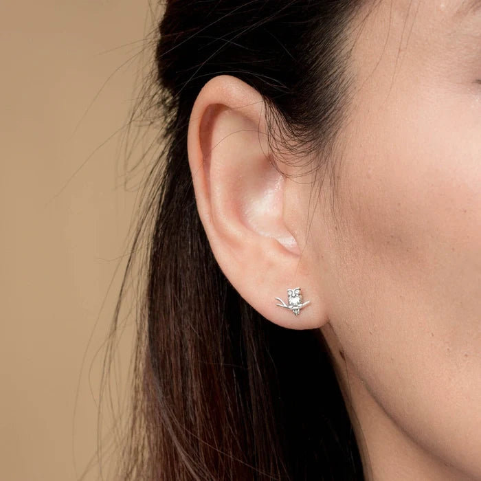 SS Wise Owl on a Branch Stud Earrings