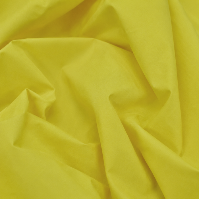 Poplin#17