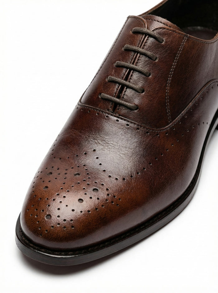 T51 Brown
