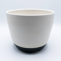 The Large Planter