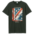 The Stone Roses T-Shirt - Waterfall Amplified
