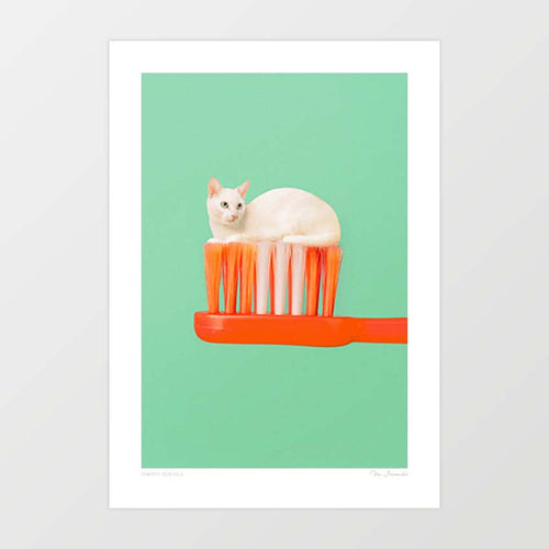 Toothpaste Cat art print — small white cat sitting neatly on the bristles of an oversized orange toothbrush against a mint green background, surreal minimalist funny cat wall art for bathrooms and cat lovers