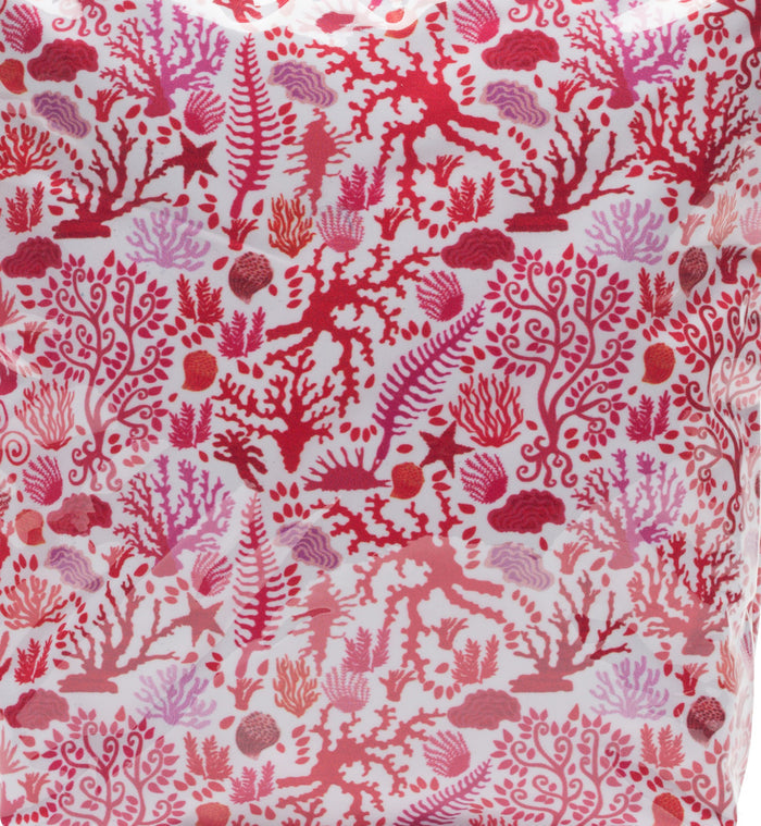 Seashells Coral