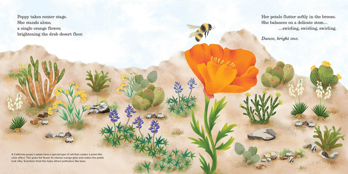 Wake, Sleepy One California Poppies and the Super Bloom