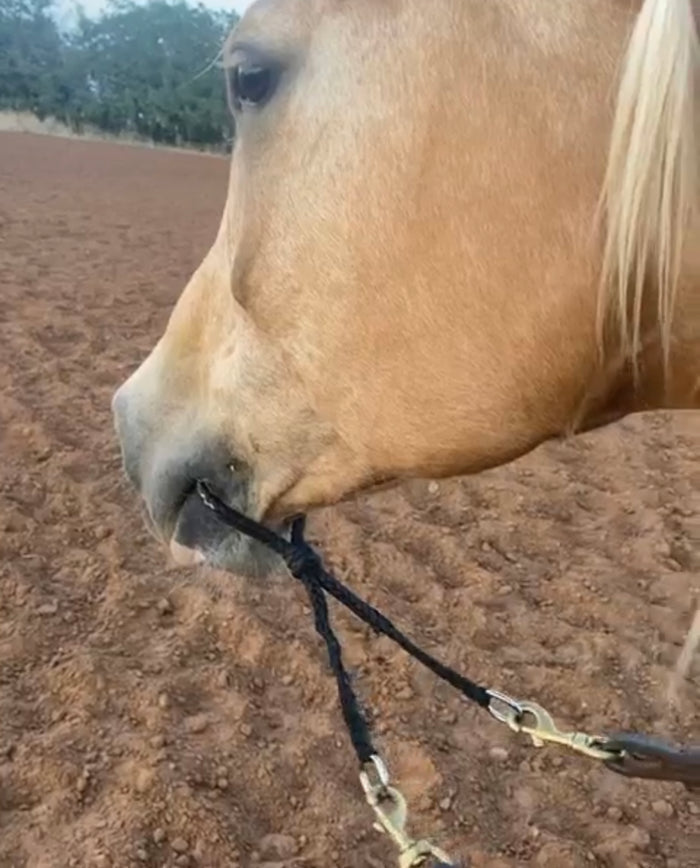 War bridle - Tiffanys Braided Tack LLC