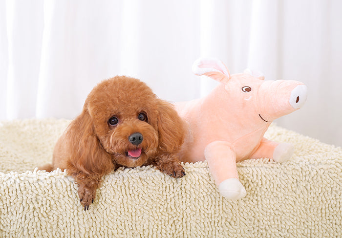 Wild-Pet Plush Pillow