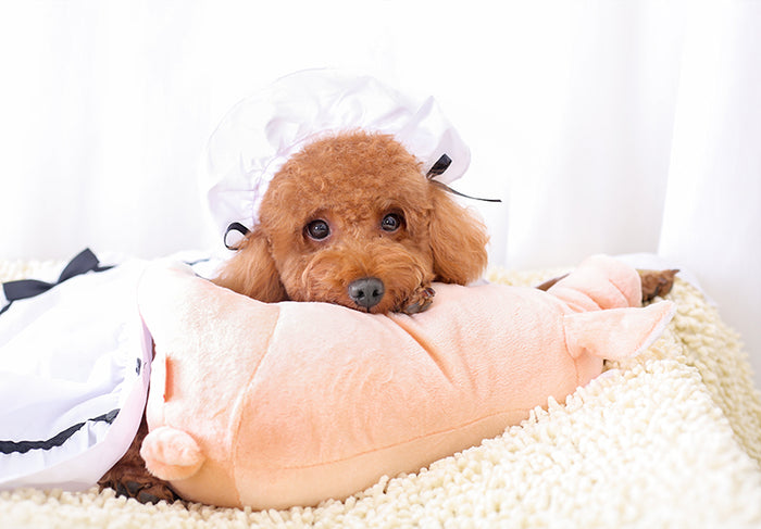 Wild-Pet Plush Pillow
